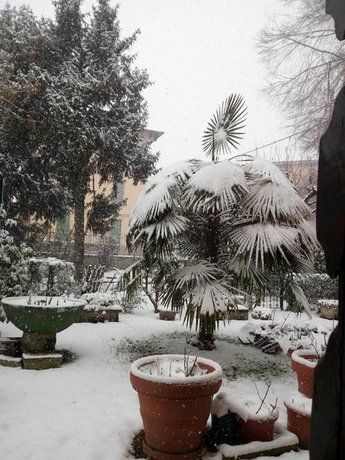 Delle Arti Crema