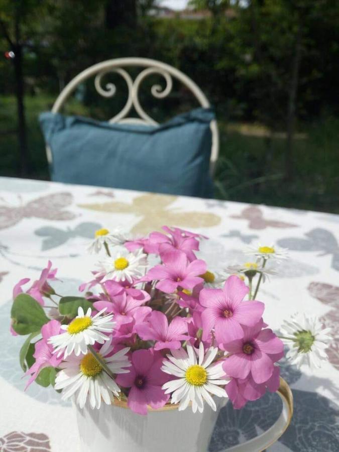 Bed & Breakfast Delle Arti *